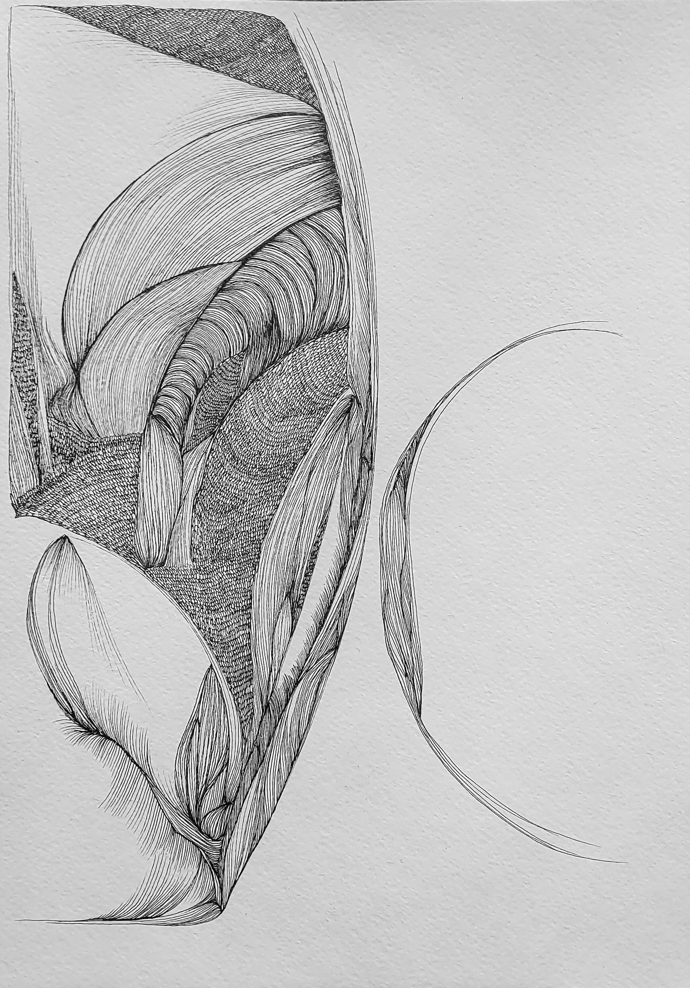 anti-matter-laura-hogan-21x29-12cm-2020